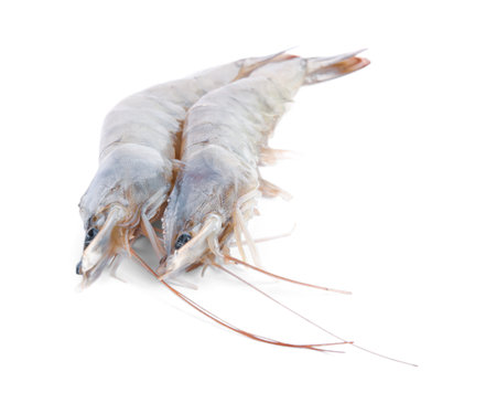 Fresh raw shrimps isolated on white. Healthy seafoodの写真素材