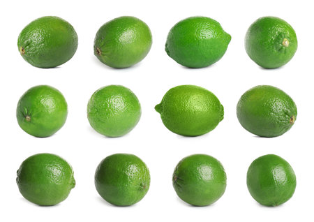 Set of fresh ripe limes on white backgroundの写真素材