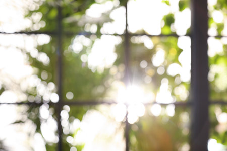 Blurred view through window on garden in the morning