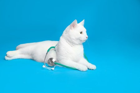Cute cat with stethoscope as veterinarian on light blue backgroundの写真素材