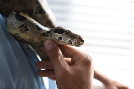 Man with his boa constrictor at home, closeup. exotic petの写真素材