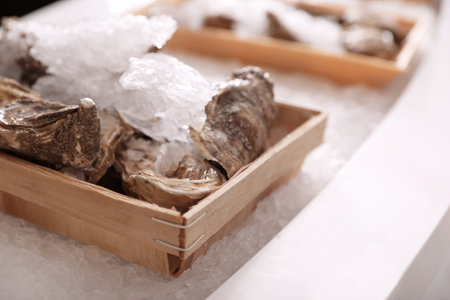 Fresh oysters with ice on display, closeup. wholesale marketの写真素材
