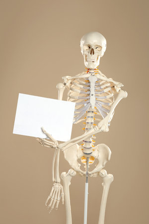 Artificial human skeleton model with blank sheet on beige background. Space for textの写真素材