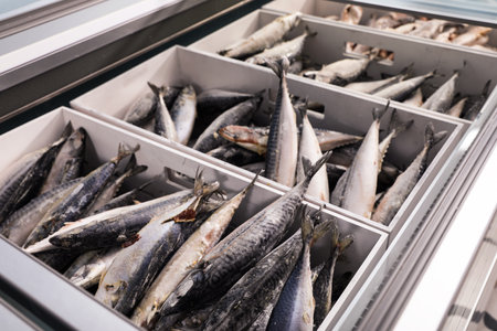 Different types of frozen fish in supermarket