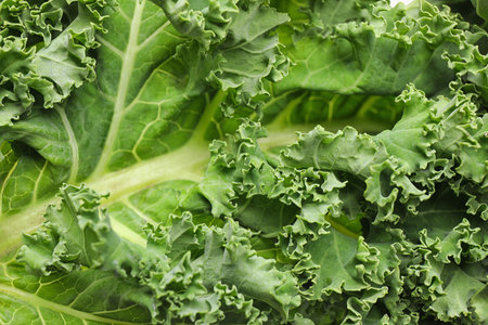 Fresh green kale leaves as background, closeup