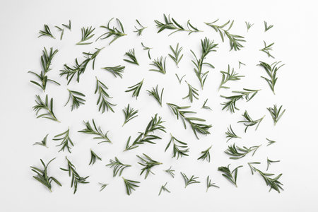 Composition with fresh rosemary on white background, top viewの写真素材