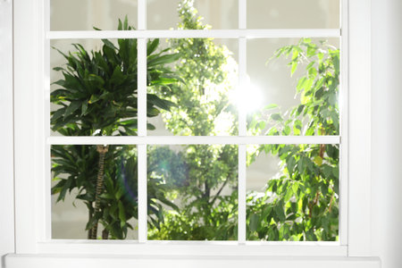 Beautiful view through window on garden in the morningの写真素材