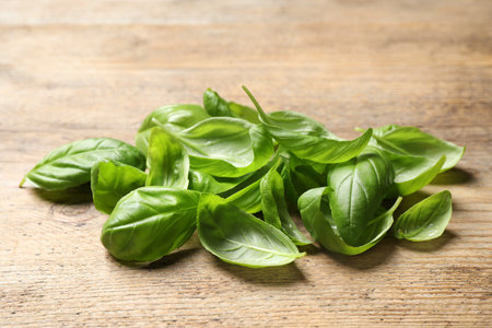 fresh green basil leaves on wooden tableの写真素材
