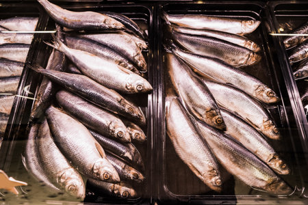 Different types of fresh fish in supermarket, closeupの写真素材