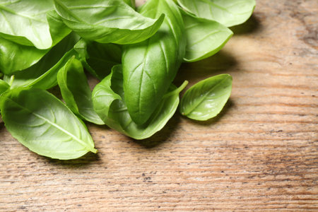 Fresh basil leaves on wooden table, closeupの写真素材