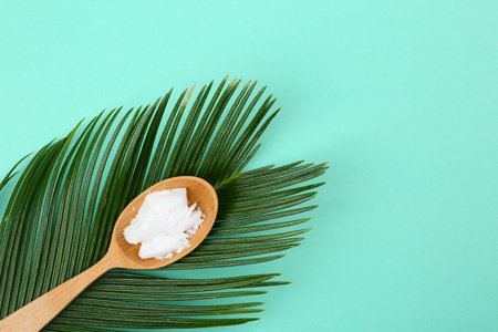 Organic coconut oil and palm branch on turquoise background, top view. healthy cookingの写真素材