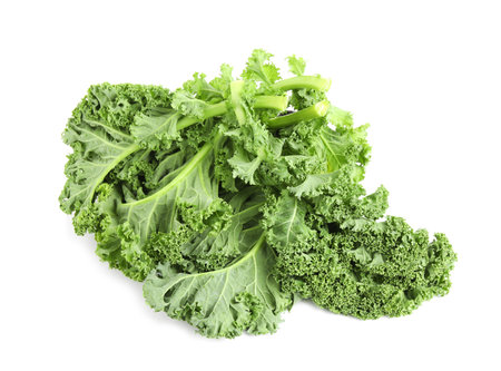 Fresh green kale leaves isolated on whiteの写真素材