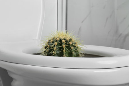 Toilet bowl with cactus near marble wall, closeup. Hemorrhoid conceptの写真素材