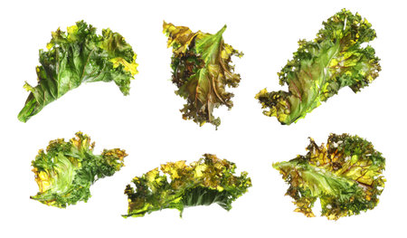 Set of tasty baked kale chips on white backgroundの写真素材