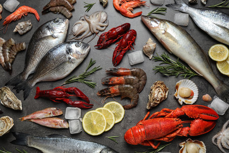 Fresh fish and seafood on gray table, flat layの写真素材