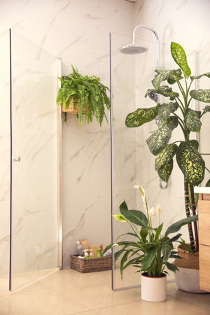Beautiful green plants in elegant modern bathroom. interior designの写真素材