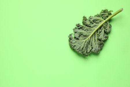 Fresh kale leaf on light green background, top view. Space for textの写真素材