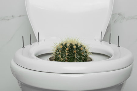 Toilet bowl with cactus and nails near marble wall, closeup. Hemorrhoid concept