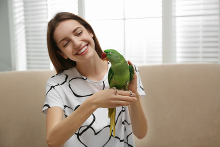 Young woman with cute Alexandrine parakeet indoors