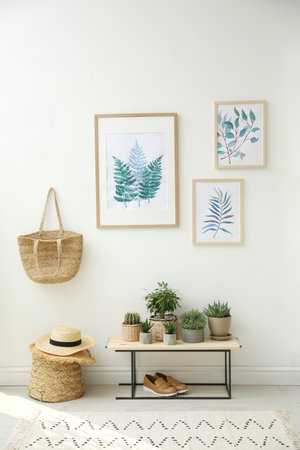 Beautiful paintings and plants at home. Idea for interior design
