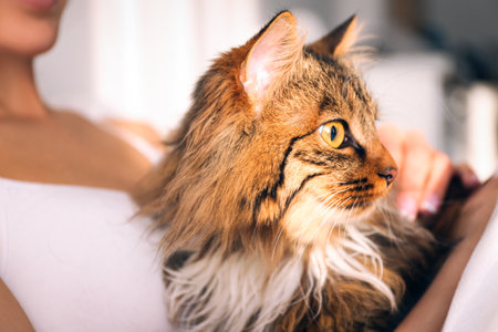 Woman with her cute cat at home, closeup. fluffy pet