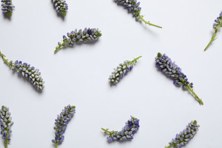 Beautiful floral composition with flowers on white background, flat lay