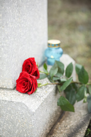Red roses on old gray tombstone outdoors. Funeral ceremonyの写真素材