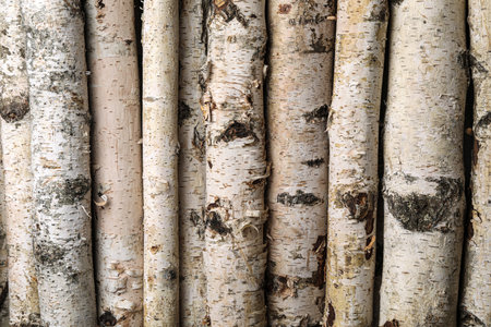 Cut firewood as background, closeup. heating in winter