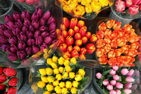 Assortment of bright flowers in shop, above view. floral decorの写真素材