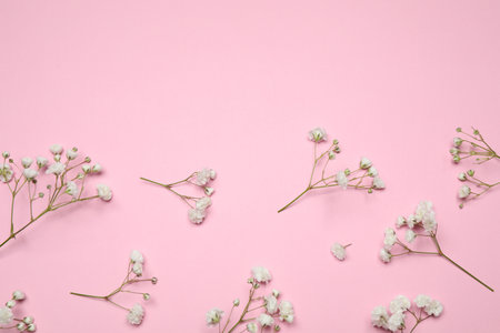 Beautiful floral composition with gypsophila on pink background, flat lay. Space for textの写真素材
