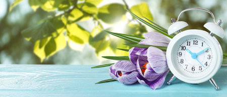 White alarm clock and flowers on blue wooden table against blurred background, space for text....