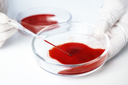 Scientist taking blood sample from Petri dish with pipette in laboratory, closeup. virus researchの写真素材