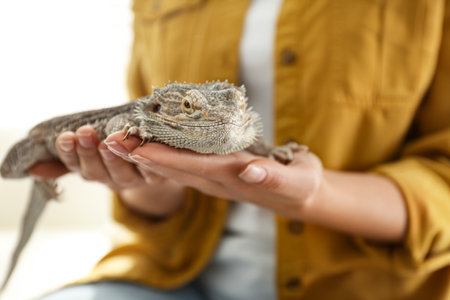 Young woman with bearded lizard at home, closeup. exotic petの写真素材