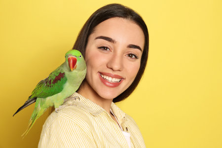 Young woman with Alexandrine parakeet on yellow background. cute pet