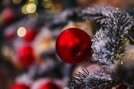 Beautiful red Christmas ball and fir branches on blurred background, closeupの写真素材