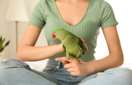 Young woman with Alexandrine parakeet indoors, closeup. cute petの写真素材