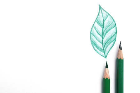 Drawing of green leaf and color pencils on white background, top viewの写真素材