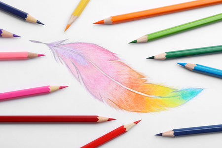 Drawing of feather and colorful pencils on white background, top viewの写真素材