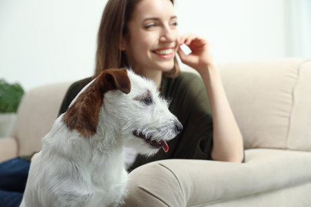 Young woman with her cute Jack Russell Terrier on sofa at home. Lovely petの写真素材