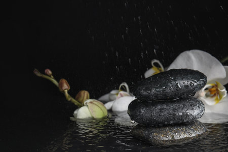Stones and orchid flowers in water on black background. Zen lifestyleの写真素材