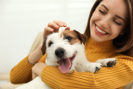 Young woman with her cute Jack Russell Terrier at home, closeup. Lovely petの写真素材