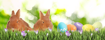Adorable bunnies and Easter eggs on green grass