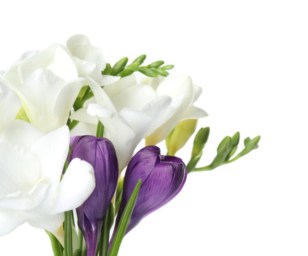 Bouquet of beautiful spring flowers on white backgroundの写真素材