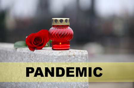 Red rose and candle on light gray granite tombstone outdoors. outbreak of pandemic disease