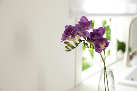 Beautiful purple freesia flowers on countertop in kitchen, closeup. Space for textの写真素材