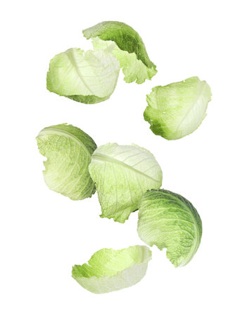Set with falling fresh leaves of savoy cabbage on white backgroundの写真素材