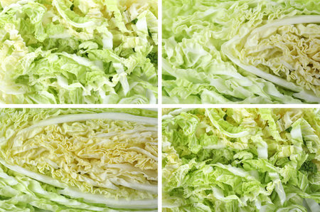 Collage of fresh chopped Chinese cabbage, top viewの写真素材