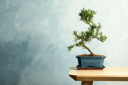 Japanese bonsai plant on wooden table, space for text. Creating zen atmosphere at homeの写真素材