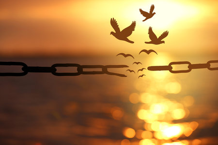 freedom concept. Silhouettes of broken chain and birds flying over the sea at sunsetの写真素材