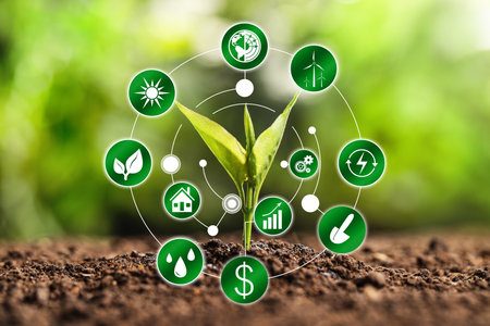 Modern technology in agriculture. green seedling and icons